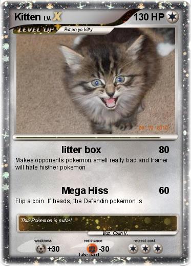 Pokemon Kitten