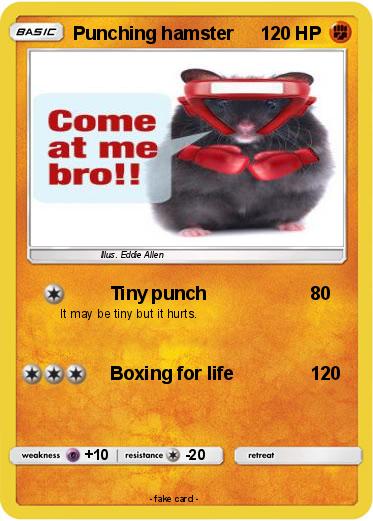 Pokemon Punching hamster