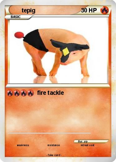 Pokemon tepig