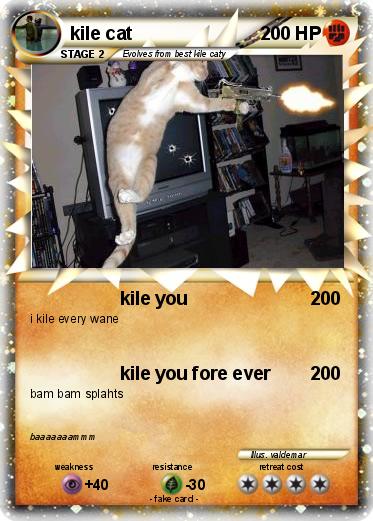 Pokemon kile cat
