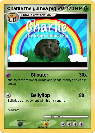 Pokemon Charlie the guinea pig