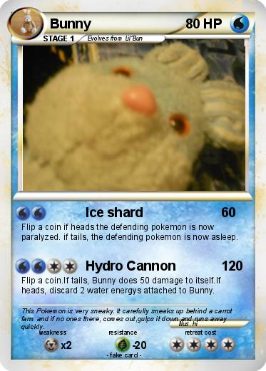 Pokemon Bunny