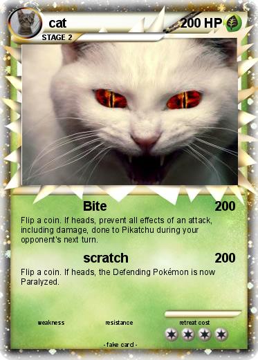 Pokemon cat