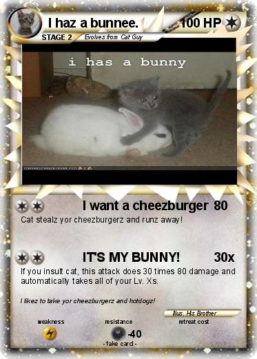 Pokemon I haz a bunnee.