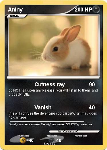 Pokemon Aniny