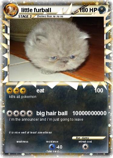 Pokemon little furball