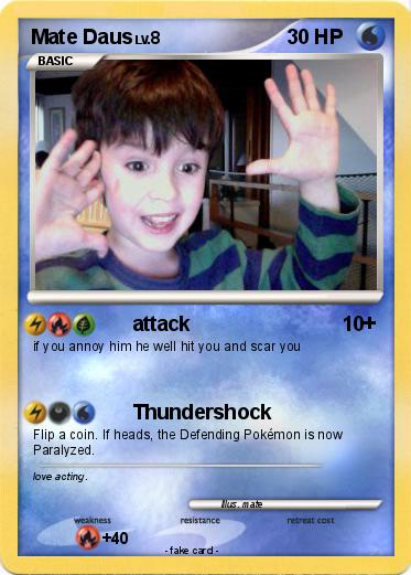 Pokemon Mate Daus