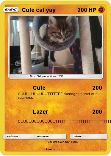 Pokemon Cute cat yay