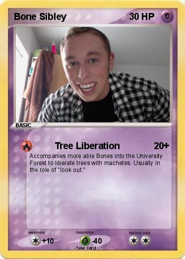 Pokemon Bone Sibley