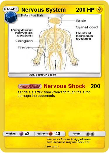 Pokemon Nervous System