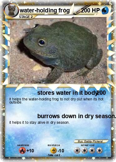 Pokemon water-holding frog