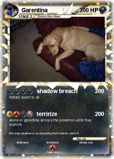 Pokemon Garentina