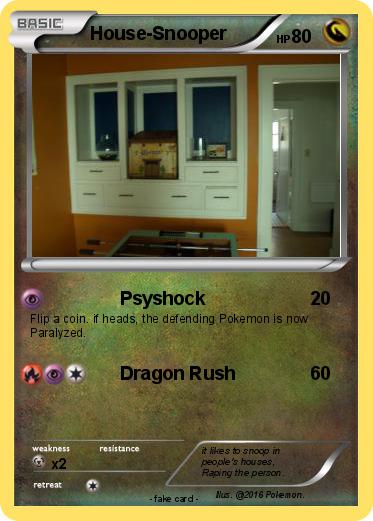 Pokemon House-Snooper
