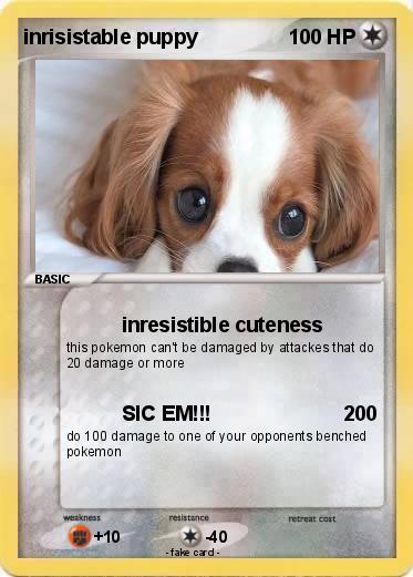 Pokemon inrisistable puppy