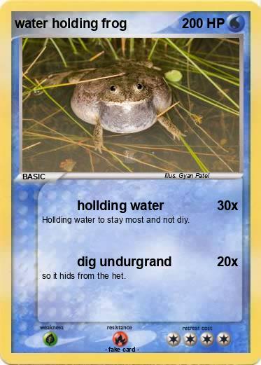 Pokemon water holding frog