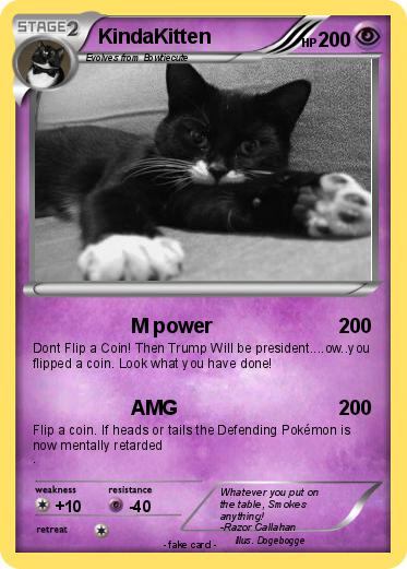 Pokemon KindaKitten