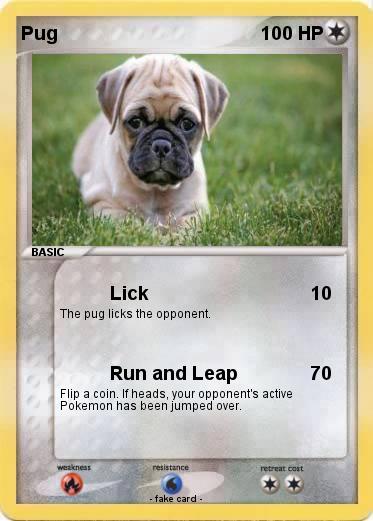 Pokemon Pug