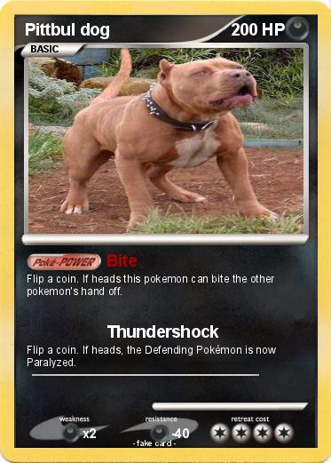 Pokemon Pittbul dog