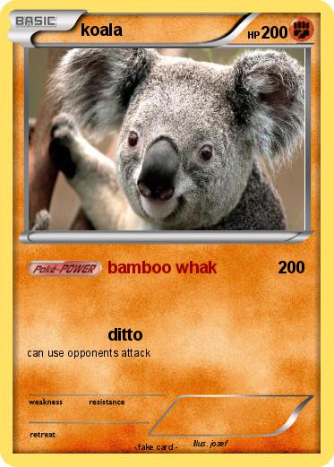 Pokemon koala