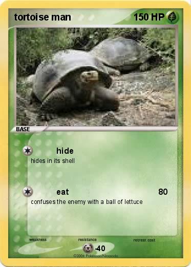 Pokemon tortoise man