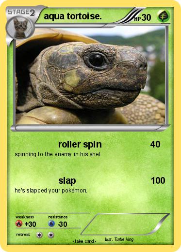 Pokemon aqua tortoise.