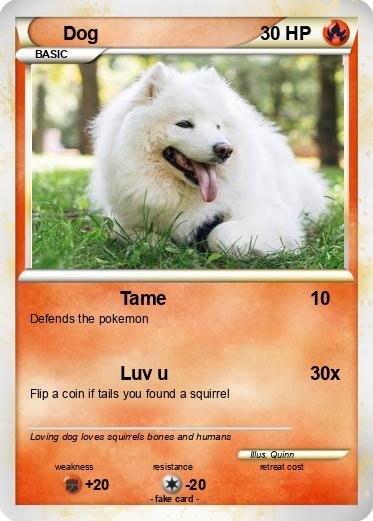 Pokemon Dog