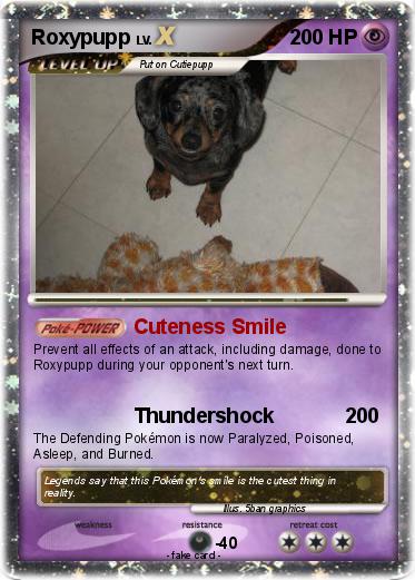 Pokemon Roxypupp