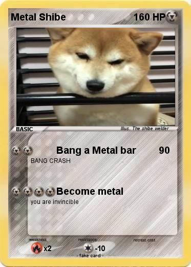 Pokemon Metal Shibe