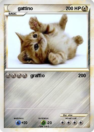 Pokemon gattino