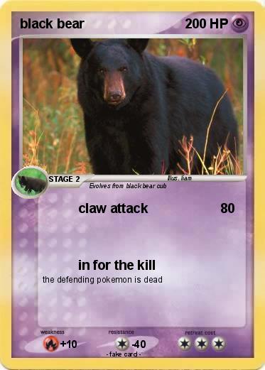 Pokemon black bear