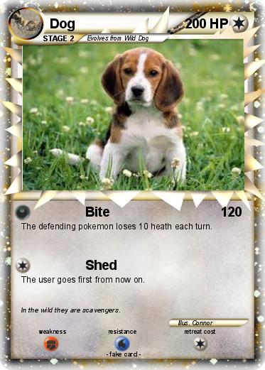 Pokemon Dog