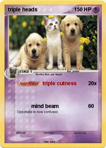 Pokemon triple heads