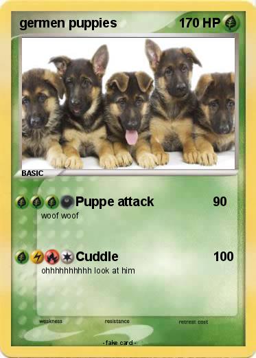 Pokemon germen puppies