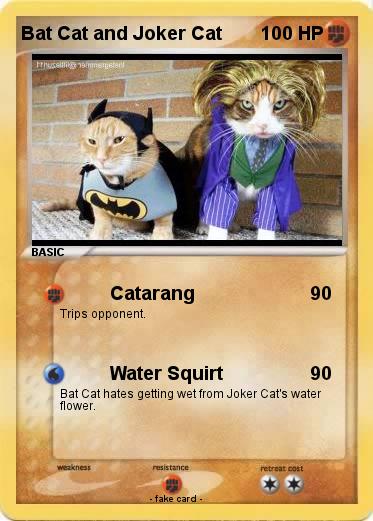 Pokemon Bat Cat and Joker Cat