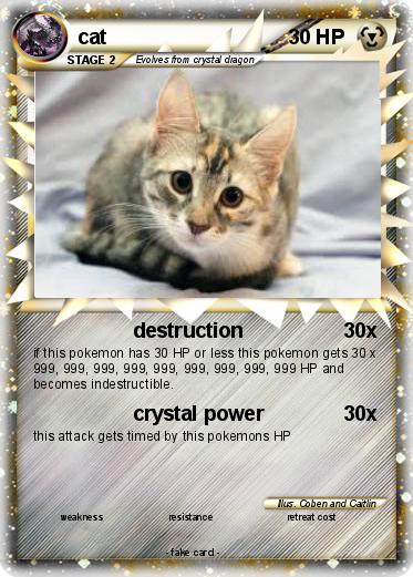 Pokemon cat
