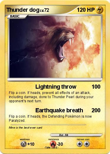 Pokemon Thunder dog