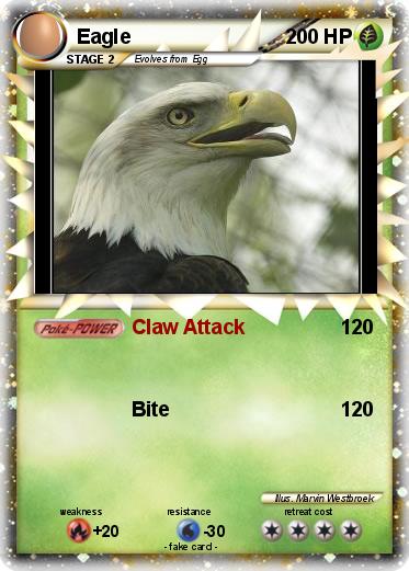 Pokemon Eagle