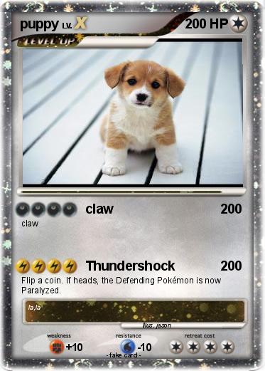 Pokemon puppy