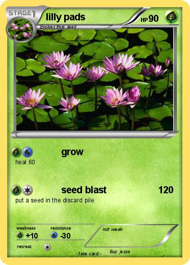 Pokemon lilly pads