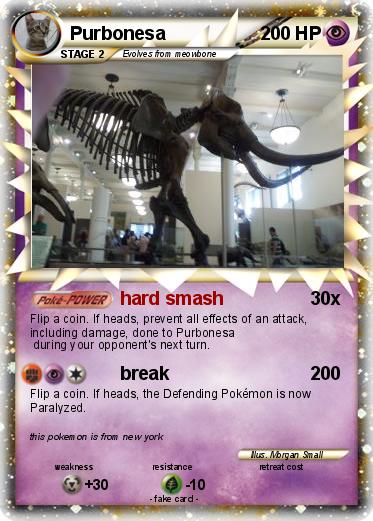 Pokemon Purbonesa