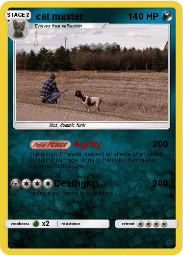 Pokemon cat master