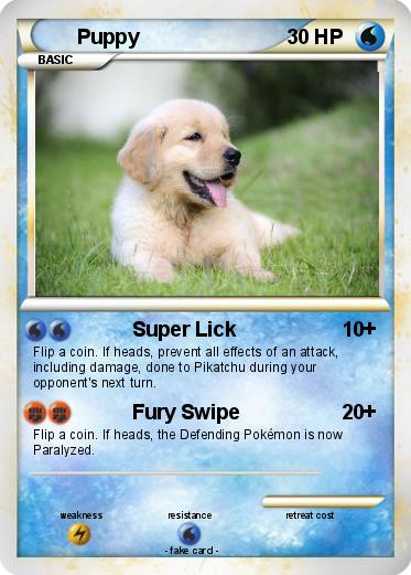Pokemon Puppy