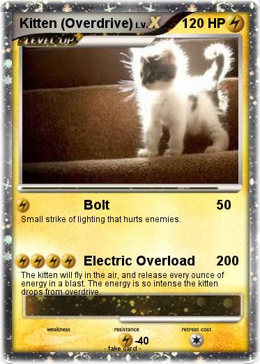 Pokemon Kitten (Overdrive)