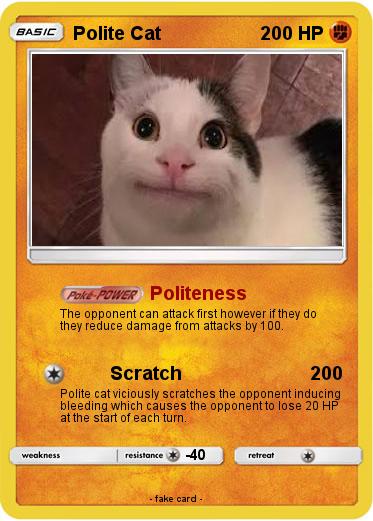 Pokemon Polite Cat