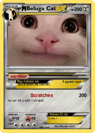 Pokemon Beluga Cat