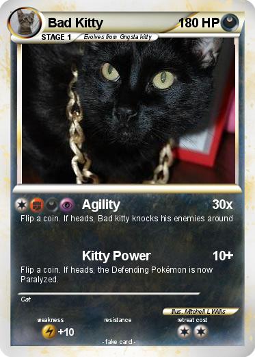 Pokemon Bad Kitty
