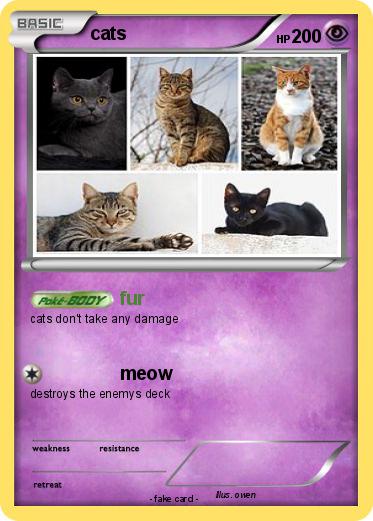 Pokemon cats