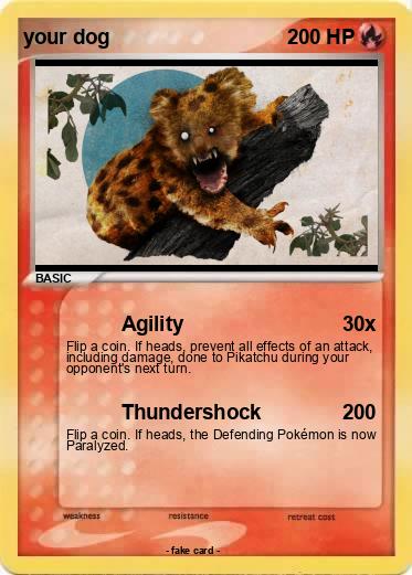 Pokemon your dog