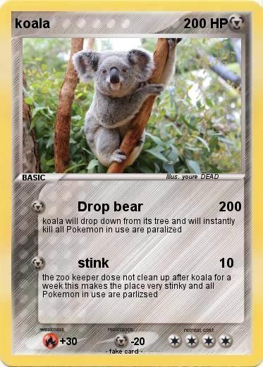 Pokemon koala