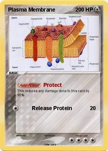 Pokemon Plasma Membrane
